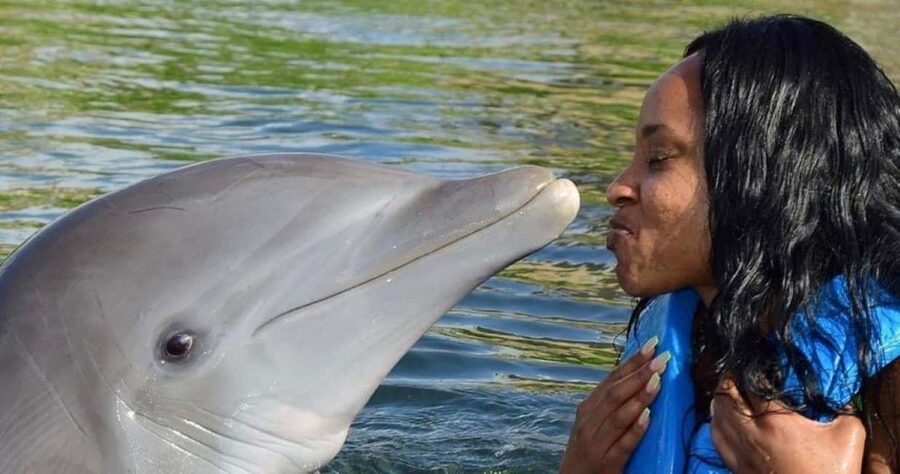 Montego Bay: Swim With The Dolphins Adventure in Lucea - The private lagoon and kayaking option