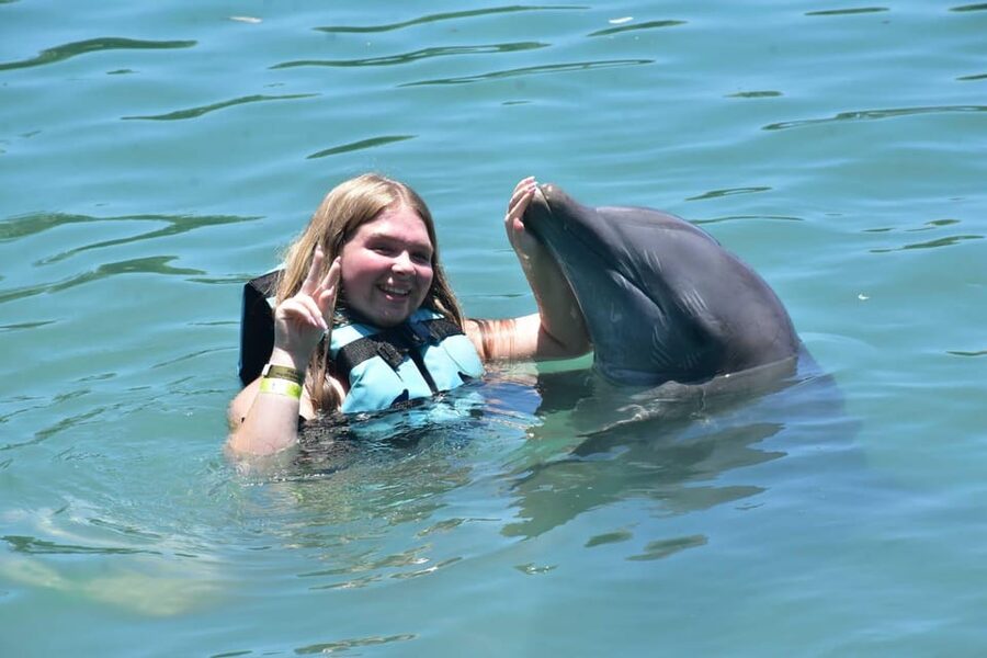 Montego Bay: Swim With The Dolphins Adventure in Lucea - Should you book the dolphin swim in Lucea?