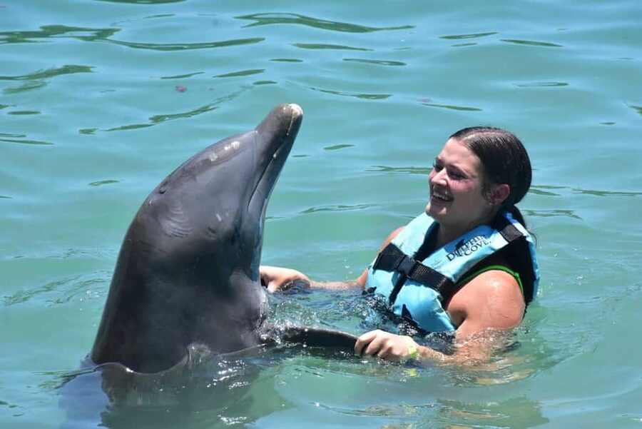 Montego Bay: Swim With The Dolphins Adventure in Lucea - Pickup from Montego Bay and nearby resorts