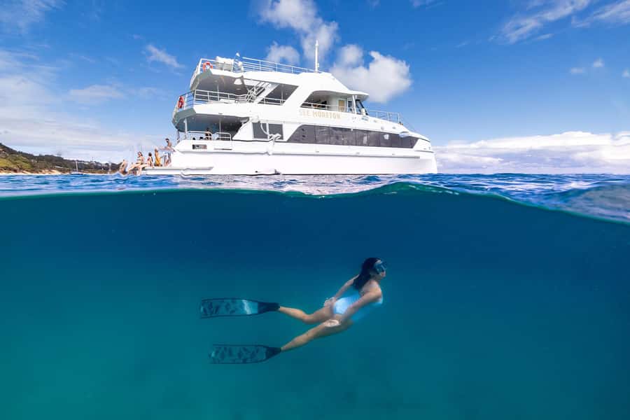 Moreton Island: Dolphin & Tangalooma Wrecks Snorkel Cruise - Key points at a glance