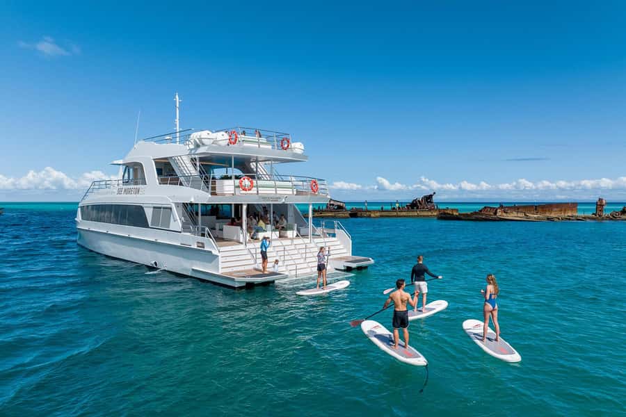 Moreton Island: Dolphin & Tangalooma Wrecks Snorkel Cruise - What the $152 price really covers