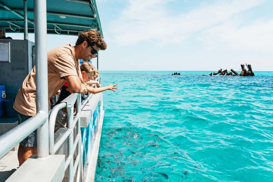 Moreton Island: Marine Discovery Cruise & Dolphin Feeding - Key points to know before you book