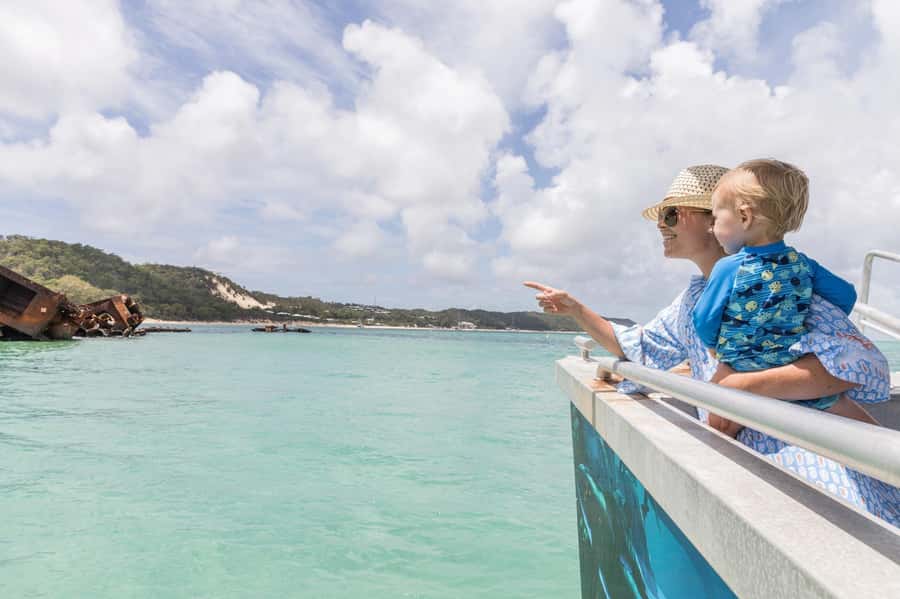 Moreton Island: Marine Discovery Cruise & Dolphin Viewing - What the Marine Discovery Cruise actually offers