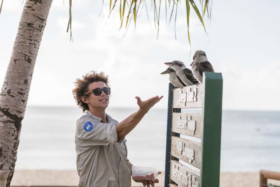 Moreton Island: Marine Discovery Cruise & Dolphin Viewing - The return crossing and seasonal timing