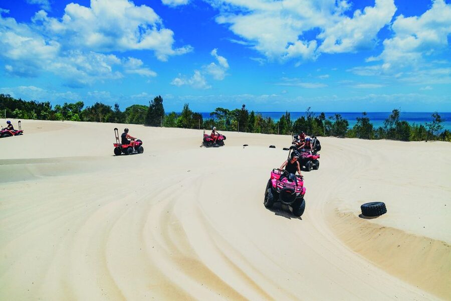 Moreton Island: Tangalooma ATV Quad Bike & Dolphin Feeding - The dolphin feeding is special, but set your expectations