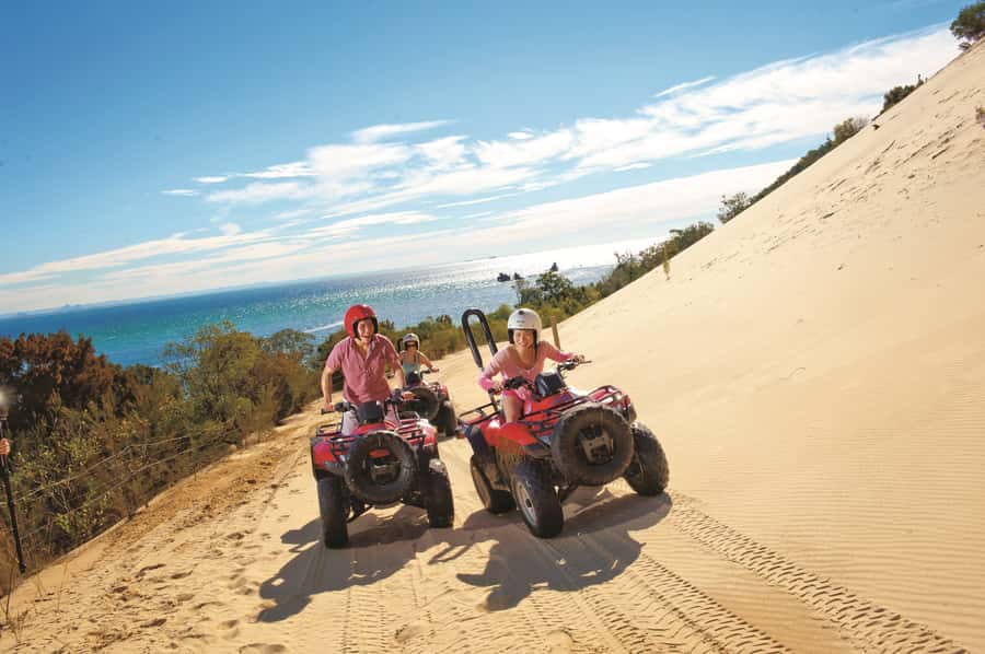 Moreton Island: Tangalooma ATV Quad Bike & Dolphin Feeding - Should you book the ATV and dolphin package?