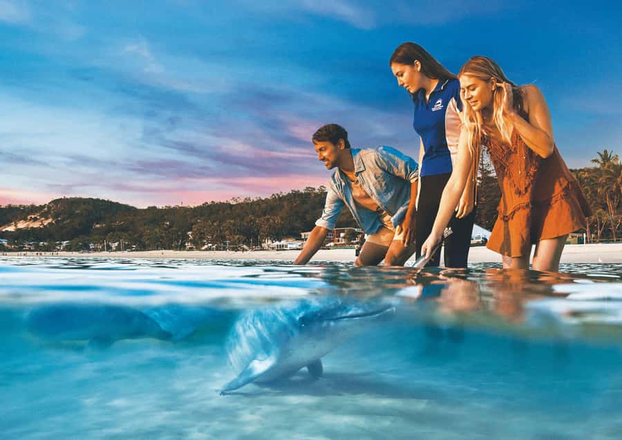 Moreton Island: Tangalooma ATV Quad Bike & Dolphin Feeding - What the 45-minute ATV tour is really like
