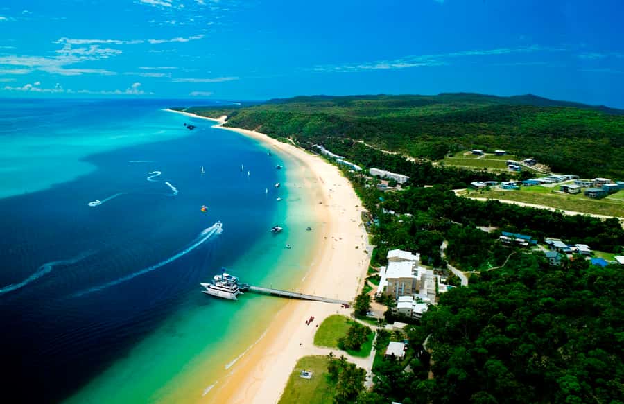 Moreton Island: Tangalooma Desert Safari and Dolphin Feeding - Practical ways to enjoy the day