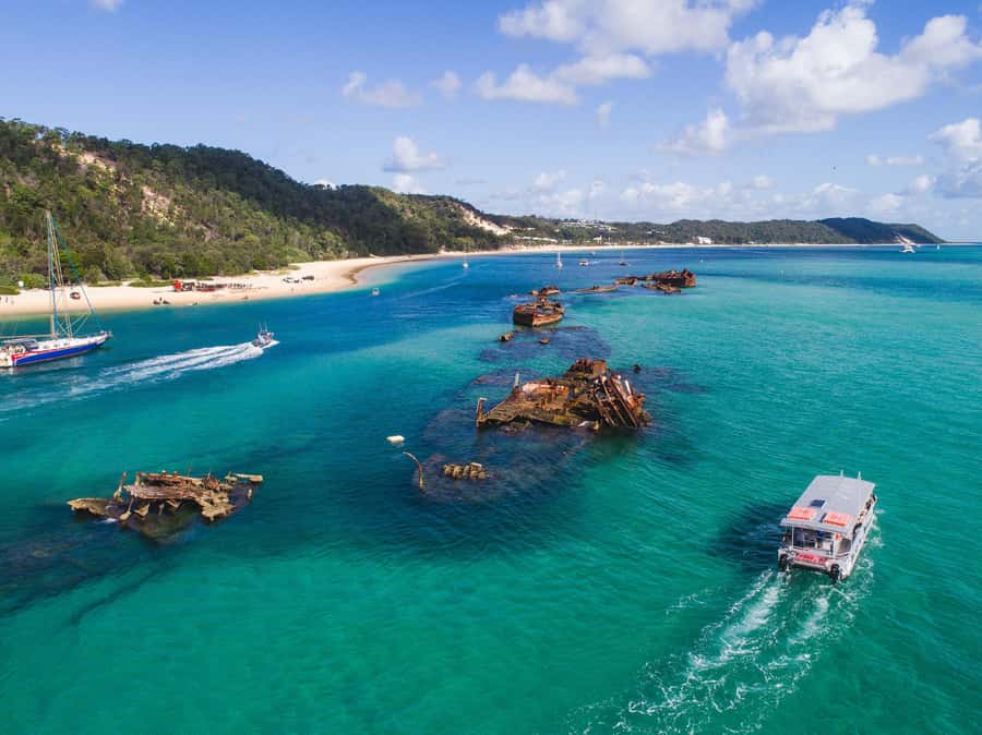 Moreton Island: Tangalooma Snorkeling Tour & Dolphin Feeding - A practical note for nervous swimmers