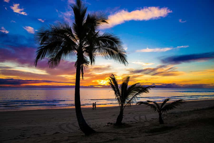 Moreton Island: Tangalooma Snorkeling Tour & Dolphin Feeding - The wild dolphin feeding experience at sunset