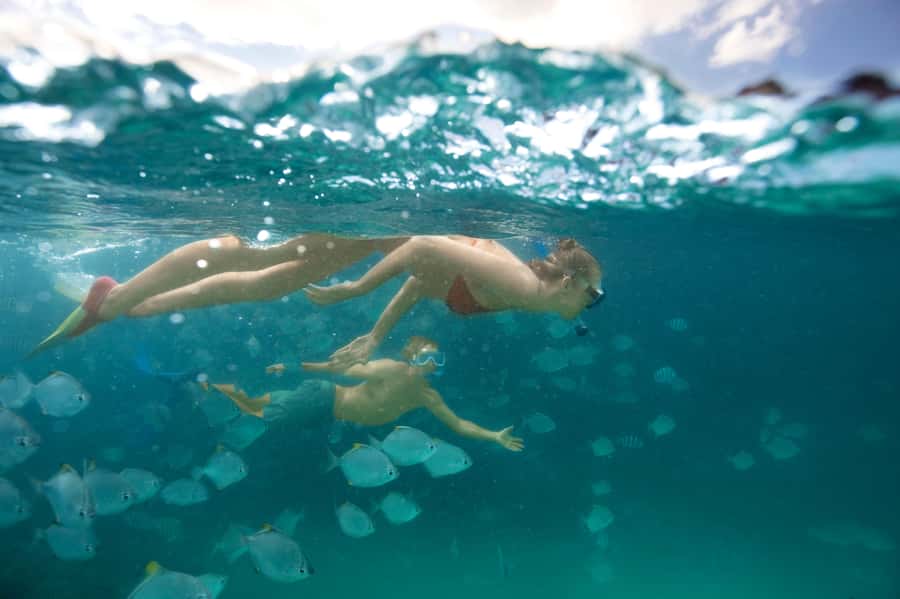 Moreton Island: Tangalooma Snorkelling with Dolphin Viewing - Why the Tangalooma Wrecks make this more than a beach day