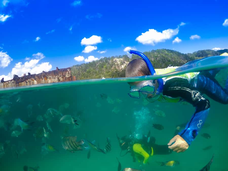 Moreton Island: Tangalooma Snorkelling with Dolphin Viewing - The 75-minute ferry ride from Brisbane