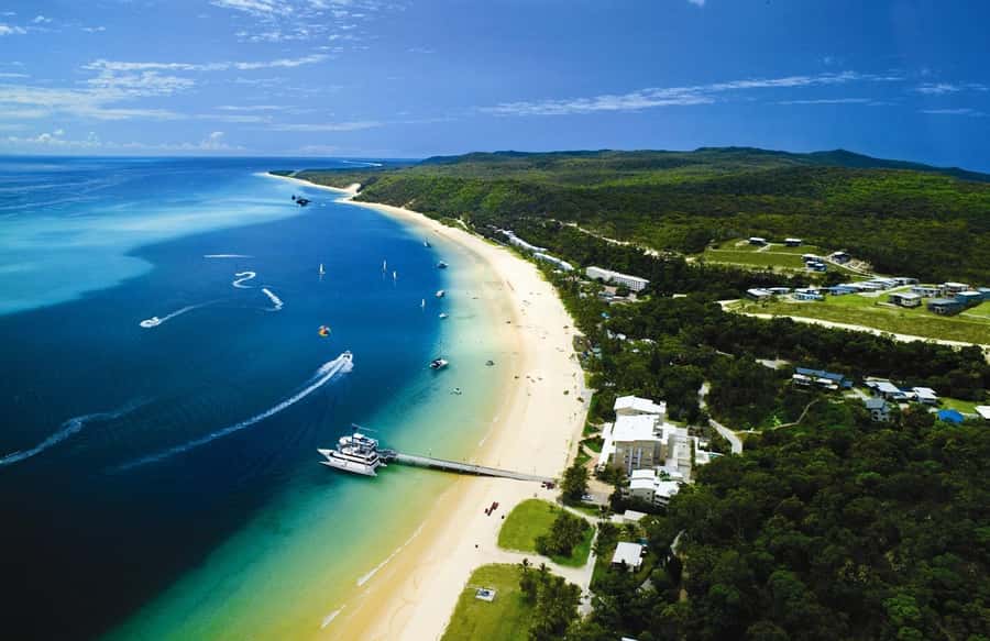 Moreton Island: Tangalooma Whale Watching & Dolphin Feeding - What the $162 price really covers