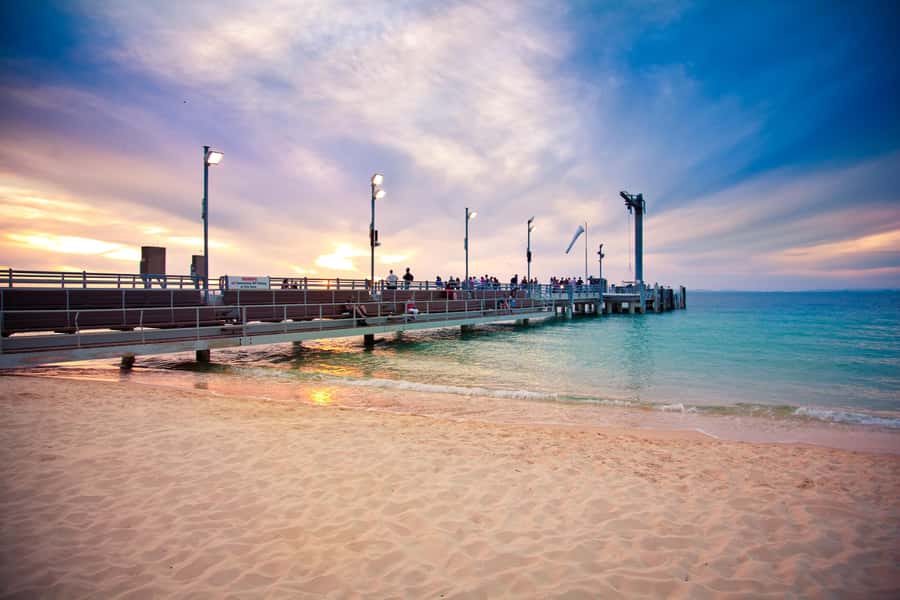 Moreton Island: Tangalooma Whale Watching & Dolphin Feeding - Who will enjoy this day most