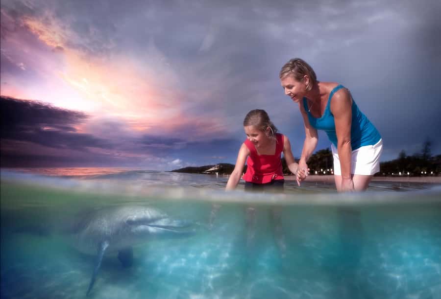 Moreton Island: Tangalooma Whale Watching & Dolphin Feeding - A few practical ways to improve the day