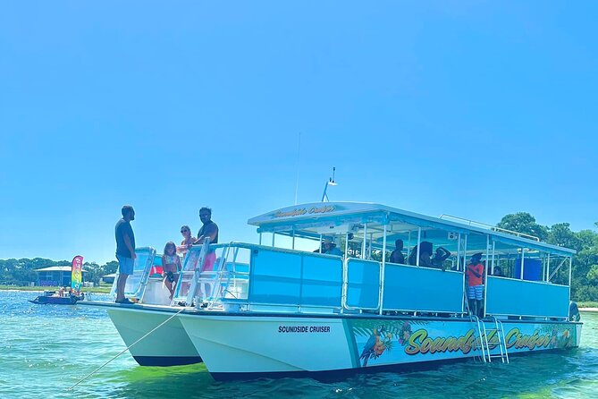 Morning Snorkel & Dolphin Adventure - Quick points to know