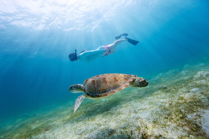 Morning Snorkel & Dolphin Adventure - Two Gulf Coast activities in one morning