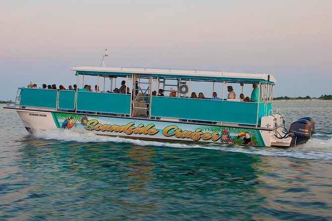 Morning Snorkel & Dolphin Adventure - Should you book the Morning Snorkel and Dolphin Adventure?