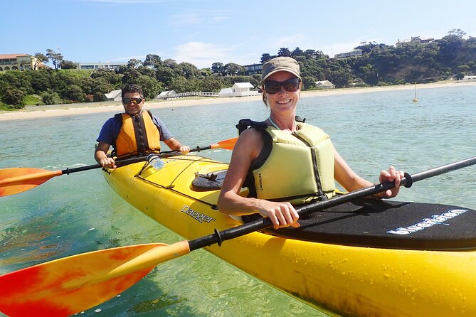 Mornington Peninsula Kayak Coastline Tour of Dolphin Sanctuary - Why this Mornington Peninsula kayak tour is worth considering