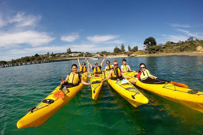 Mornington Peninsula Kayak Coastline Tour of Dolphin Sanctuary - The pre-departure briefing makes this suitable for beginners