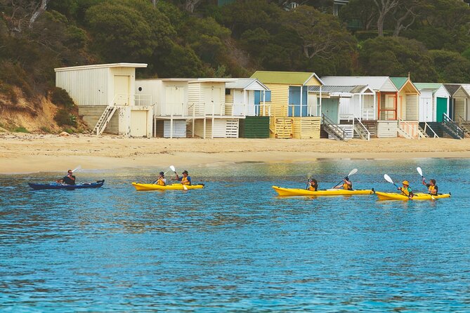Mornington Peninsula Kayak Coastline Tour of Dolphin Sanctuary - Paddling from Sorrento or Point Nepean
