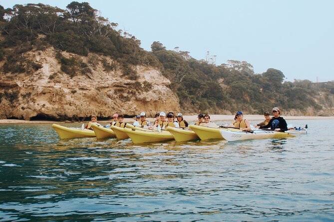 Mornington Peninsula Kayak Coastline Tour of Dolphin Sanctuary - A beach break after the first hour