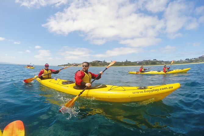 Mornington Peninsula Kayak Coastline Tour of Dolphin Sanctuary - Through the Dolphin Sanctuary toward Millionaires Walk