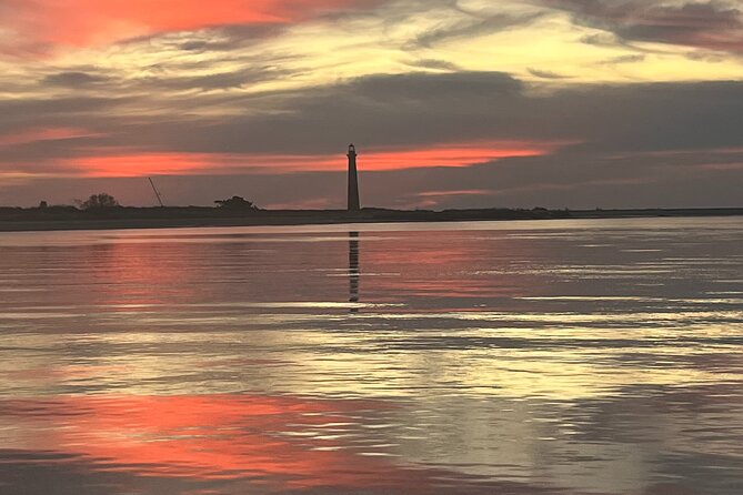 Morris Island Dolphin Cruise and Shelling Trip - Why this Folly Beach cruise works so well