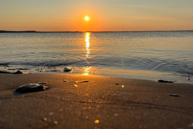Morris Island Dolphin Cruise and Shelling Trip - The 45-minute beach stop on Morris Island