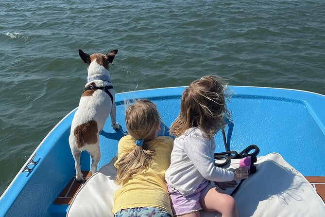 Morris Island Dolphin Cruise and Shelling Trip - Is $295 good value for five people?