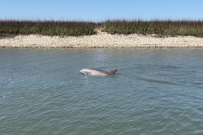 Morris Island Dolphin Cruise and Shelling Trip - Leaving the Folly River Boat Ramp
