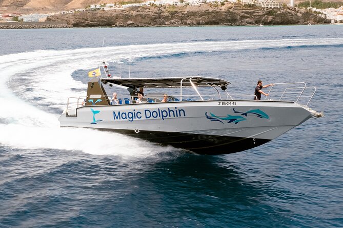 Morro Jable: 2 Hours Magic Dolphin & Whale watching with Drinks & Swim Stop. - A turquoise-water swim in Jandía Bay