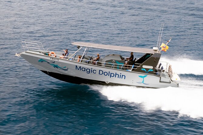 Morro Jable: 2 Hours Magic Dolphin & Whale watching with Drinks & Swim Stop. - What dolphin and whale watching is really like