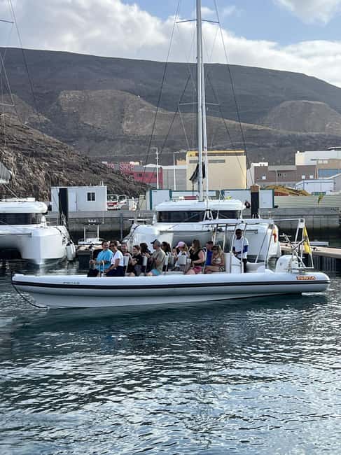Morro Jable:Dolphin & Whale Watching Boat Tour & Snorkeling - Searching for dolphins and whales in open water