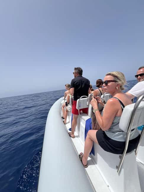 Morro Jable:Dolphin & Whale Watching Boat Tour & Snorkeling - A personal crew and an ethical approach