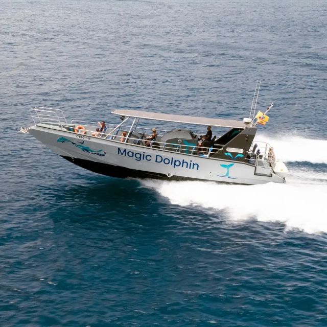 Morro Jable: Dolphin & Whale Watching Cruise, Drinks & Swim - What makes this Morro Jable cruise worth considering