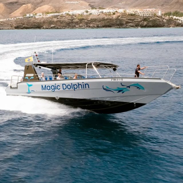 Morro Jable: Dolphin & Whale Watching Cruise, Drinks & Swim - Practical tips before you book