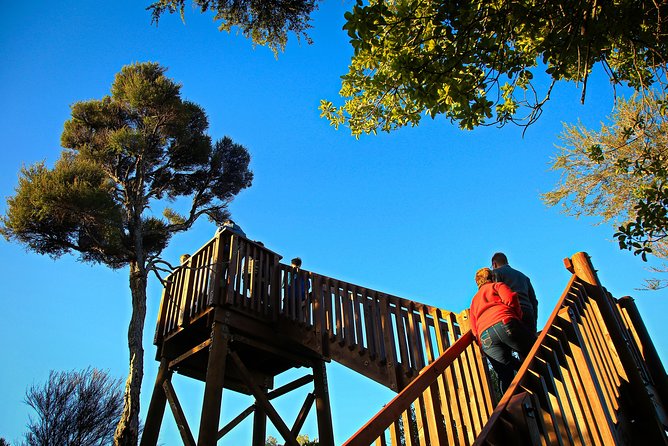 Motuara Wildlife Sanctuary Tour and Dolphin Cruise from Picton - Wildlife watching on the water