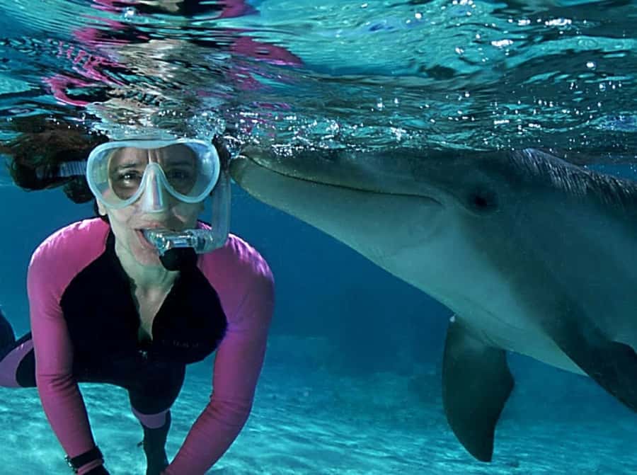 Muscat: 4-Hour Snorkeling Tour with Dolphin watching - How to get more from the four hours