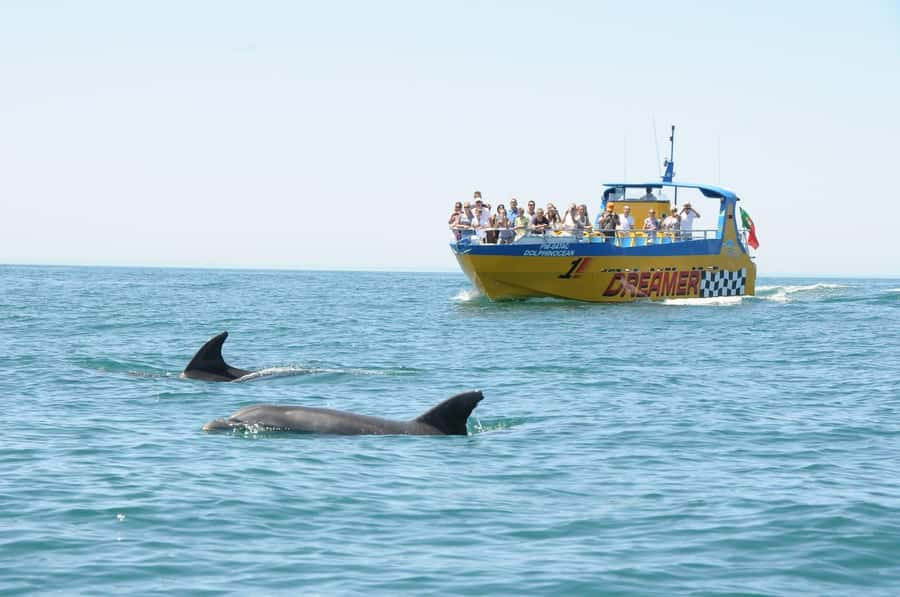 Muscat: 4-Hour Snorkeling Tour with Dolphin watching - FAQ