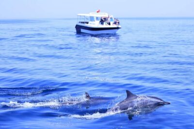 Muscat: Dolphin Watch & Snorkel Excursion