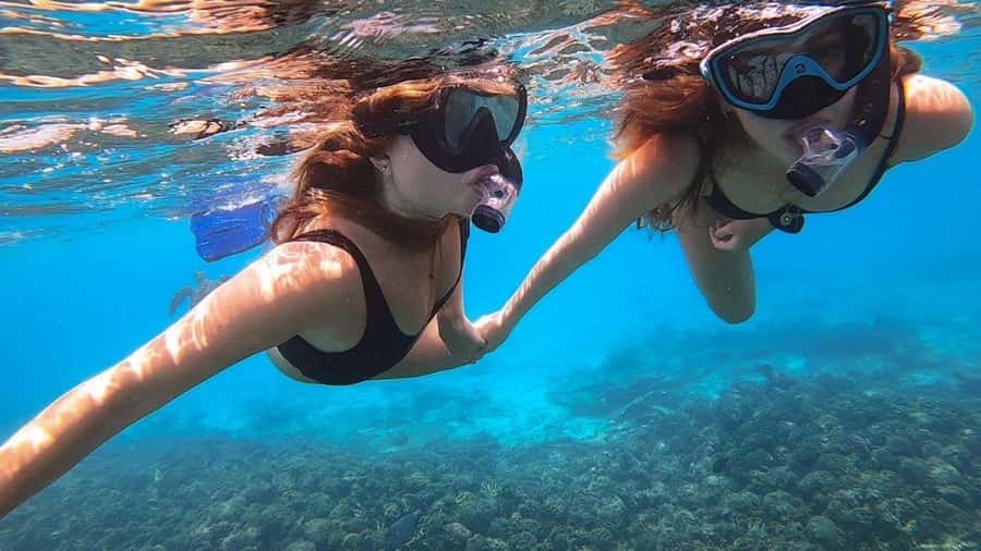 Muscat: Dolphin Watch & Snorkel Excursion - Snacks, drinks, and the value of $52