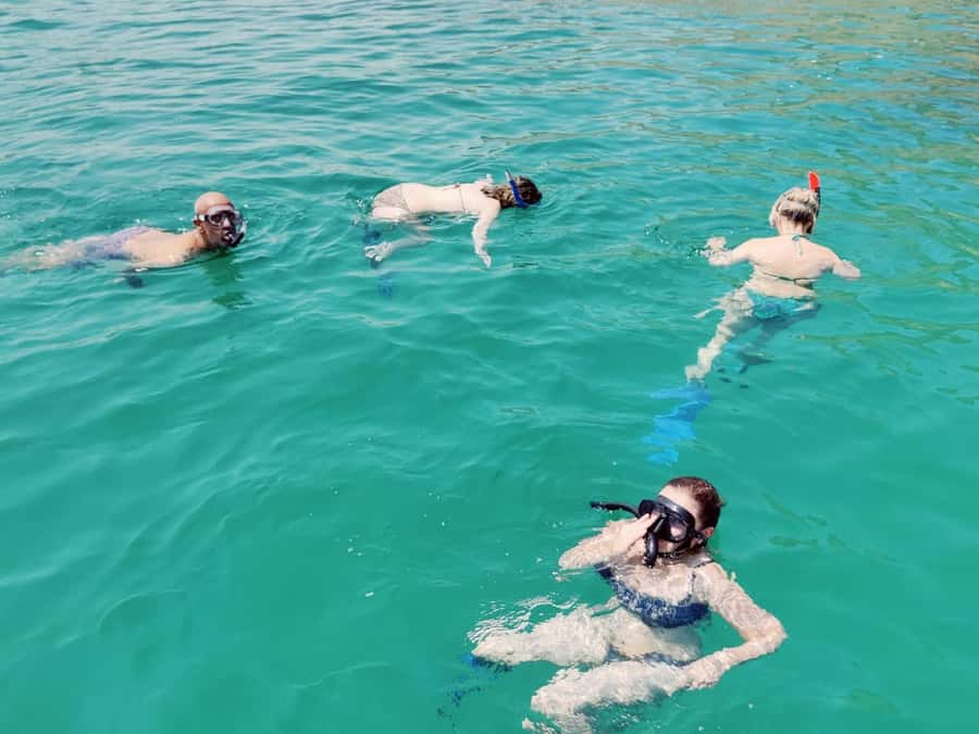 Muscat: Dolphin Watch & Snorkel Excursion - The crew and how they shape the day