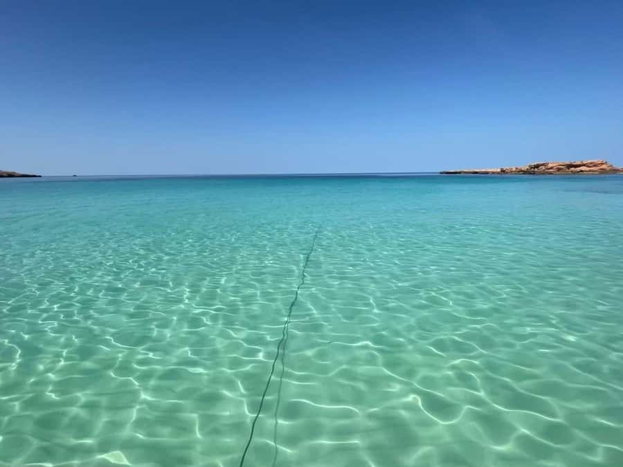 Muscat: Dolphin Watch & Snorkeling - Dolphins first, then a swim near Bandar Khairan