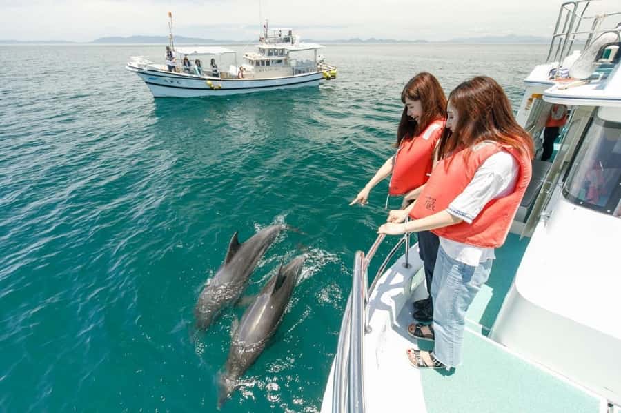 Muscat: Dolphin Watching and Snorkeling Tour - The boat search for spinner and bottlenose dolphins