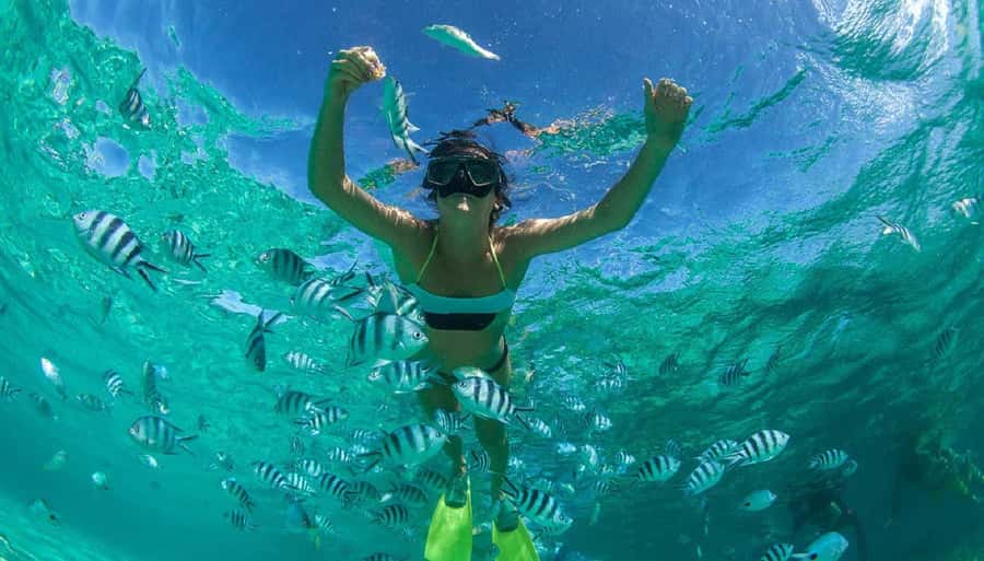 Muscat: Dolphin Watching and Snorkeling Tour - Who will enjoy this, and who should think twice