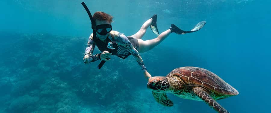 Muscat: Dolphin Watching and Snorkeling Tour - FAQ