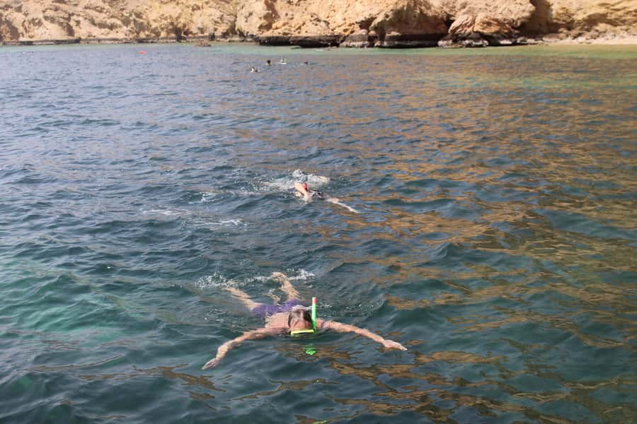 Muscat: Dolphin Watching and Snorkeling Tour By Speed Boat - A 10am start from Muscat’s marina