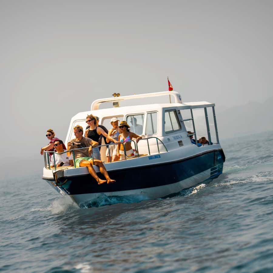 Muscat: Dolphin Watching and Snorkeling Trip - Key points to know before booking