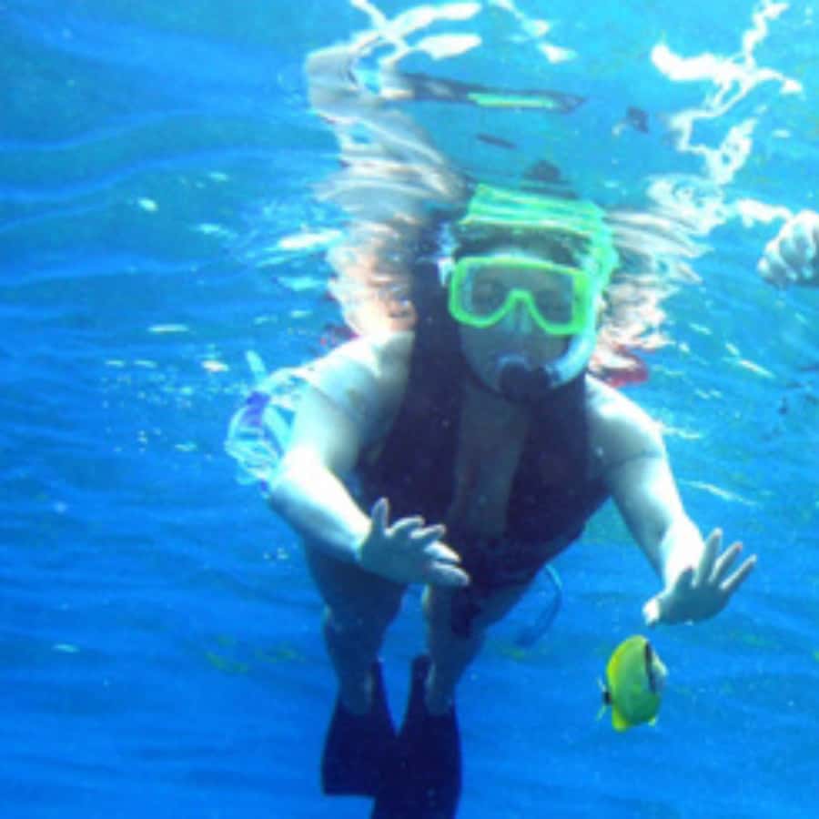 Muscat: Dolphin Watching and Snorkeling Trip - Weather, cancellations, and what to pack